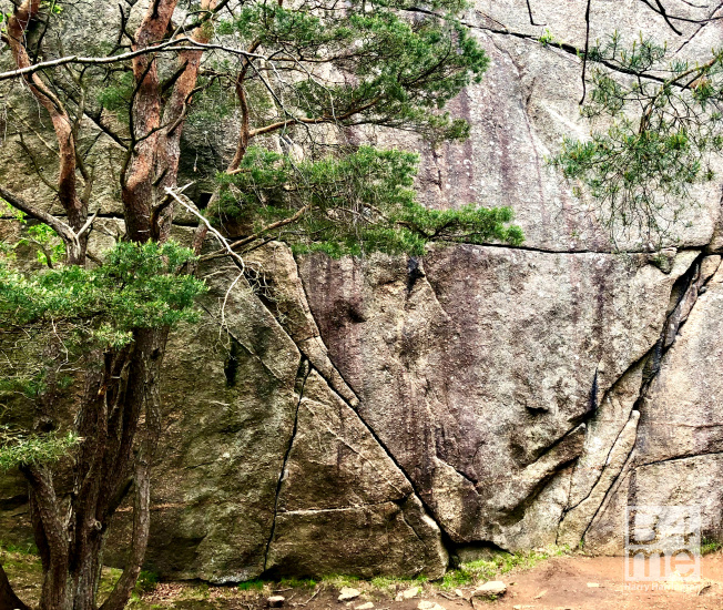 pine mountain